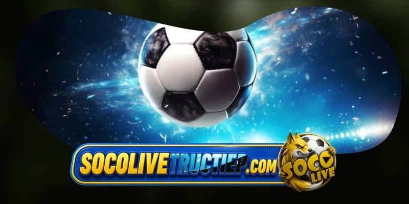 Phân loại và hướng dẫn chi tiết cách xem odds cho từng định dạng