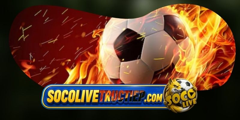 Định hướng phát triển của Socolive tại Việt Nam
