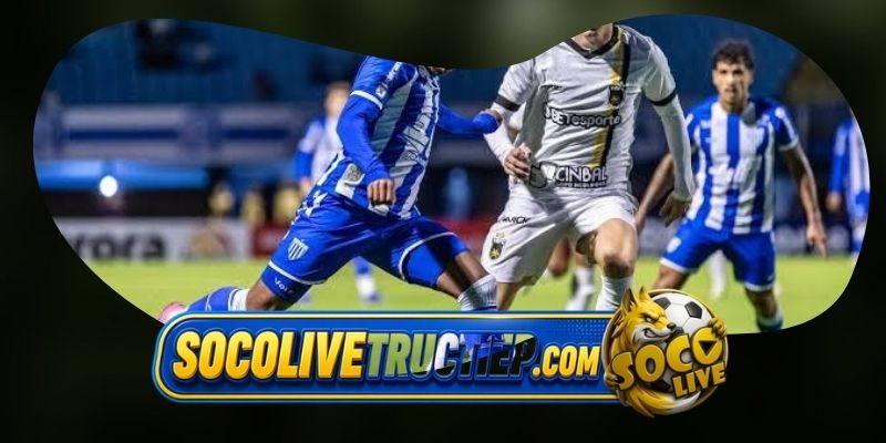 Gợi ý chốt kèo tổng hợp trận Athletic Club MG vs Avai FC (SC) ngày 29/06