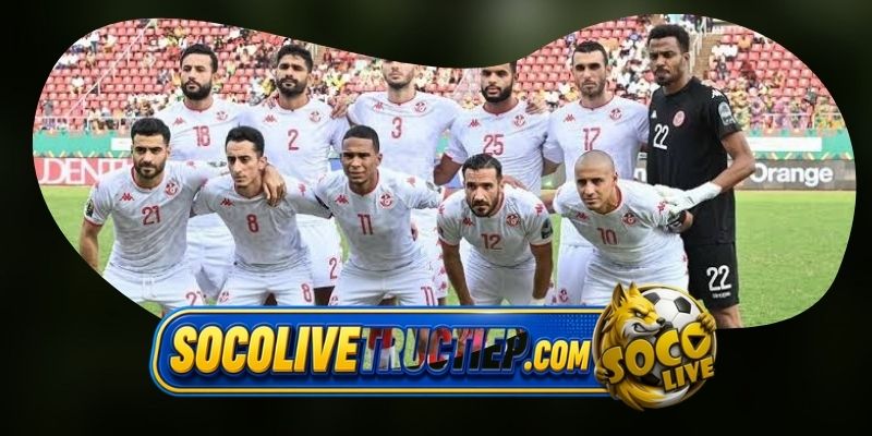 Gợi ý chốt kèo tổng hợp trận Tunisia vs Hà Lan ngày 26/06
